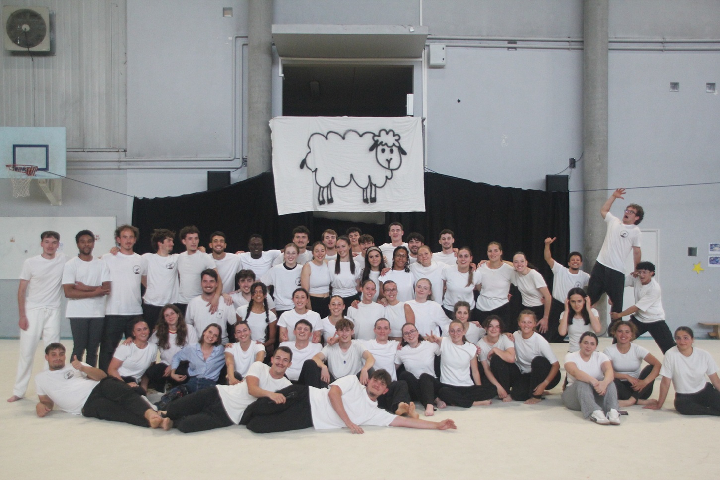 groupe stpas APAS