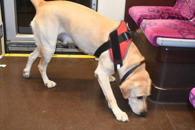 Une importante quantit&eacute; de drogue saisie &agrave; Planoise