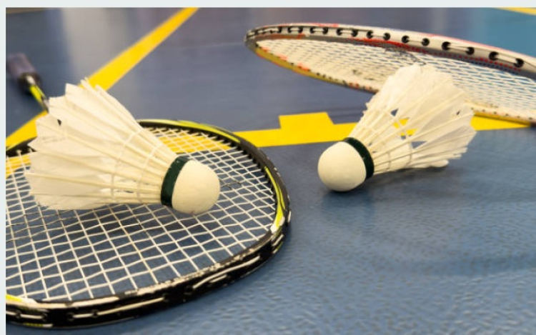 Belle performance pour le club de badminton Valdahon/Vercel.