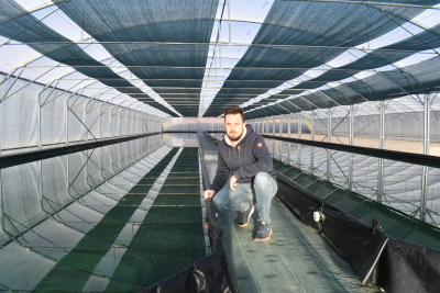 La culture de la spiruline, une cyanobact&eacute;rie riche pour l'organisme