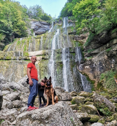 Eduquer son animal de compagnie : Pensez aux nouvelles m&eacute;thodes d&rsquo;&eacute;ducation