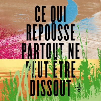 Politique : Oppos&eacute;s &agrave; la dissolution des "Soul&egrave;vements de la Terre"