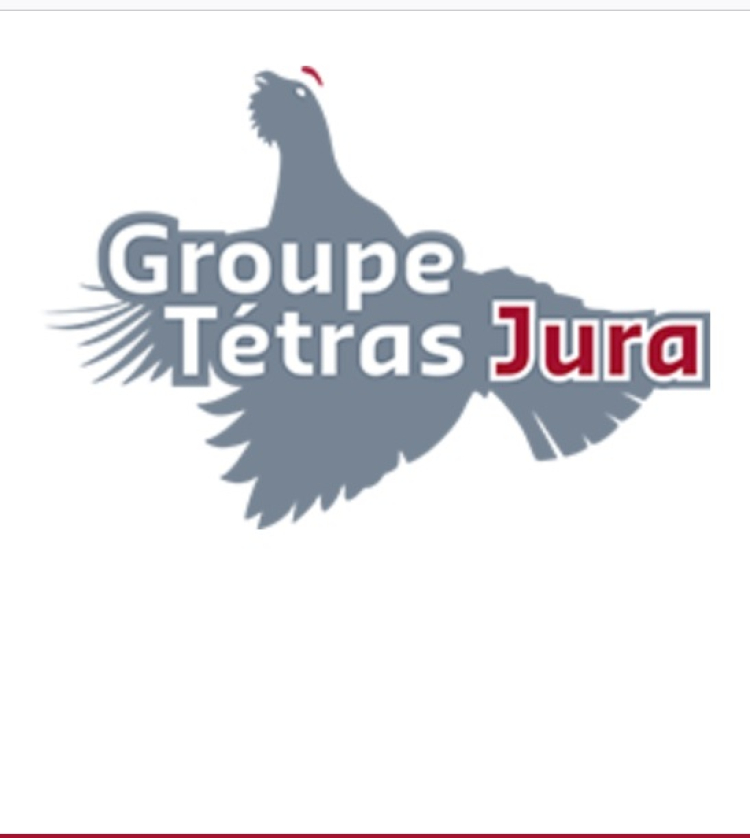 Tétras Jura lance une campagne citoyenne pour préserver la forêt du Risoux