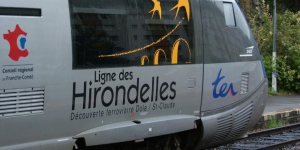 La Ligne des Hirondelles en grand danger : les premières mesures entrent en vigueur