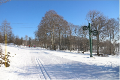 T&eacute;l&eacute;ski de la Glaci&egrave;re. Photo : CCGP 