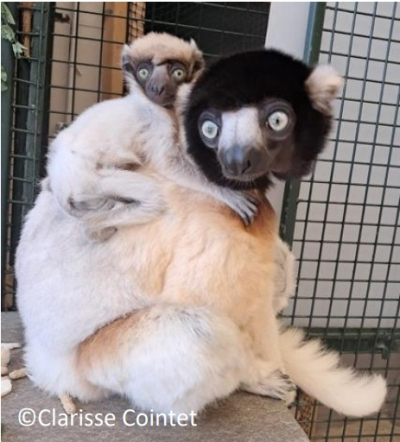 Photo : Citadelle de Besan&ccedil;on