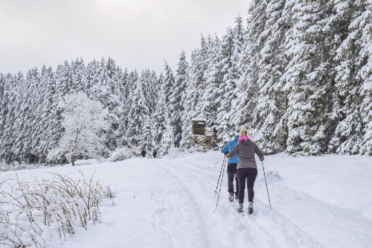 Le Haut-Doubs prépare ses pistes de ski nordique