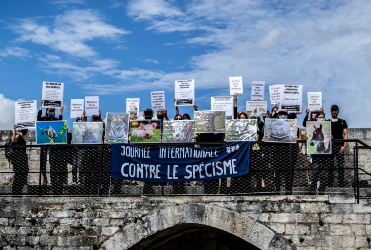 Besançon : 9è journée mondiale pour la fin du spécisme