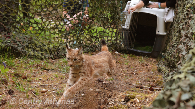 Lutter contre le trafic d'esp&egrave;ces : Une des missions du Centre Athenas