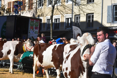 Soutien du s&eacute;nateur Longeot &agrave; l&rsquo;inscription des comices agricoles du Doubs au patrimoine culturel immat&eacute;riel fran&ccedil;ais
