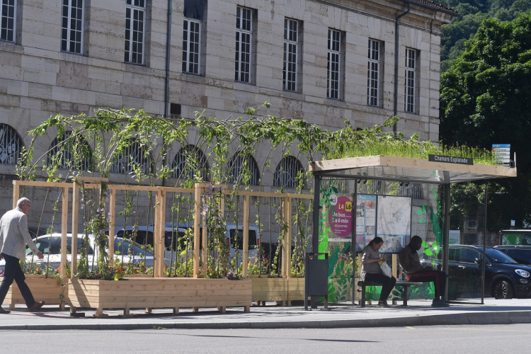 Besançon : Deux arrêts de bus végétalisés pour protéger des fortes chaleurs