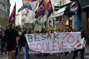 Marche pour le climat : Une soixantaine de manifestants à Besançon