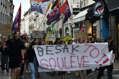 Marche pour le climat : Une soixantaine de manifestants &agrave; Besan&ccedil;on