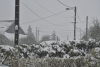 Alerte m&eacute;t&eacute;o : les quatre d&eacute;partements franc-comtois en vigilance jaune "neige et verglas"