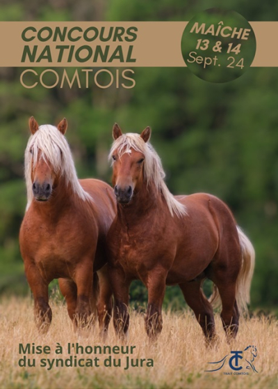Le cheval de Trait Comtois &agrave; l&rsquo;honneur &agrave; Ma&icirc;che