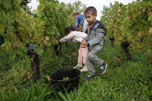 Photo : ville de Lons le Saunier 