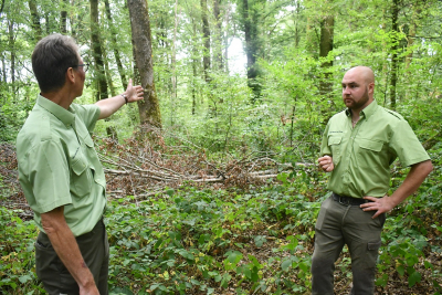 Feux de for&ecirc;t : Appel &agrave; la vigilance dans le d&eacute;partement du Doubs