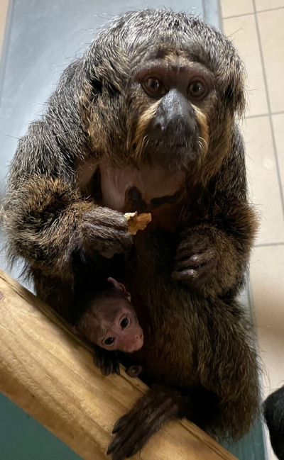 Photo : Stacy Girard 