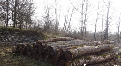 Photo : Ville de Besan&ccedil;on