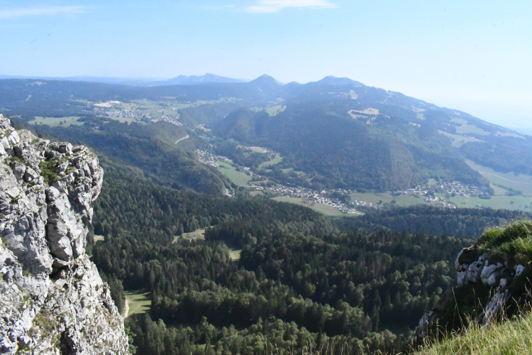 Disparition inqui&eacute;tante au Mont d&rsquo;Or : recherches en cours