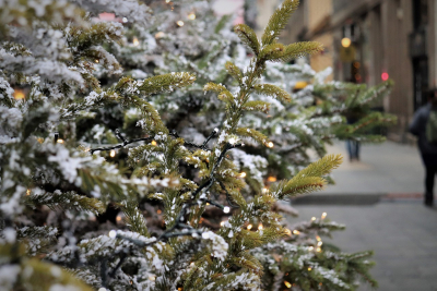 La vente des sapins de No&euml;l, une tradition qui se perp&eacute;tue