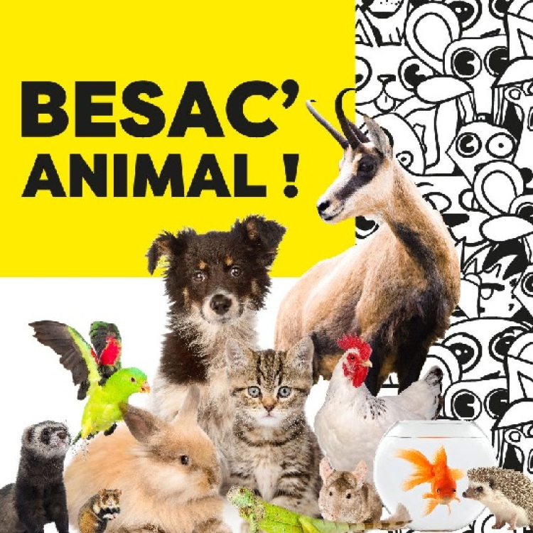 Besançon : 1ère édition de Besac&#039;animal