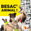 Besan&ccedil;on : 1&egrave;re &eacute;dition de Besac'animal