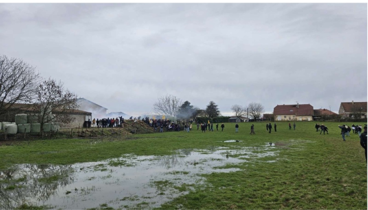 Mobilisation nationale après un foyer de dermatose nodulaire Contagieuse  dans le Doubs