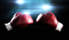 Sport : gala de boxe franco-suisse &agrave; Pontarlier