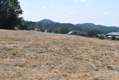 Environnement : le d&eacute;partement du Doubs en vigilance s&eacute;cheresse