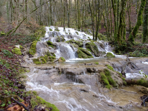 Restauration des ruisseaux du Raffenot et du Vergetolles à Vuillafans et Châteauvieux-les-Fossés