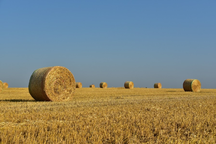 FEADER : les démarches pour le dispositif de Dotation Jeunes Agriculteurs sont ouvertes