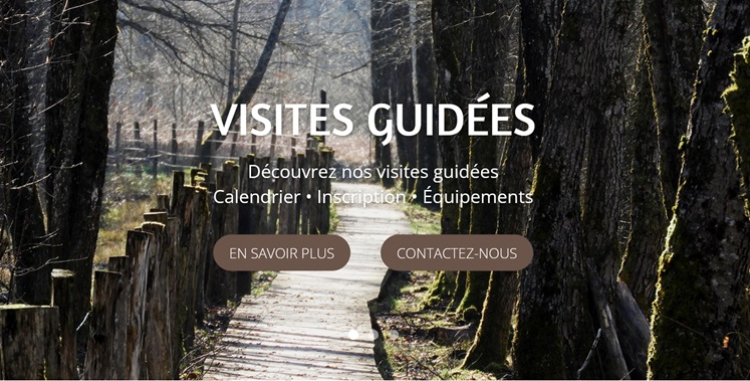 Sa&ocirc;ne : le marais ouvre ses portes avec quatre visites guid&eacute;es gratuites cet &eacute;t&eacute;
