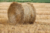 Crise agricole, logement, action sociale : le Jura ajuste son budget et pr&eacute;pare l&rsquo;avenir