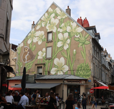 Besan&ccedil;on : Inauguration d'une fresque murale d&eacute;di&eacute;e &agrave; la biodiversit&eacute;