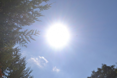 R&eacute;chauffement climatique : un mois d&rsquo;octobre et une ann&eacute;e 2023 historiquement chauds