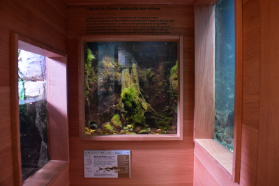 La citadelle de Besan&ccedil;on, au chevet des esp&egrave;ces menac&eacute;es