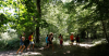 Besan&ccedil;on : projet artistique en for&ecirc;t de Chailluz