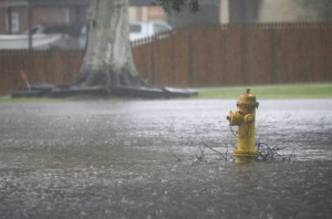 Alerte météo : les quatre départements franc-comtois en vigilance jaune pour vents violents