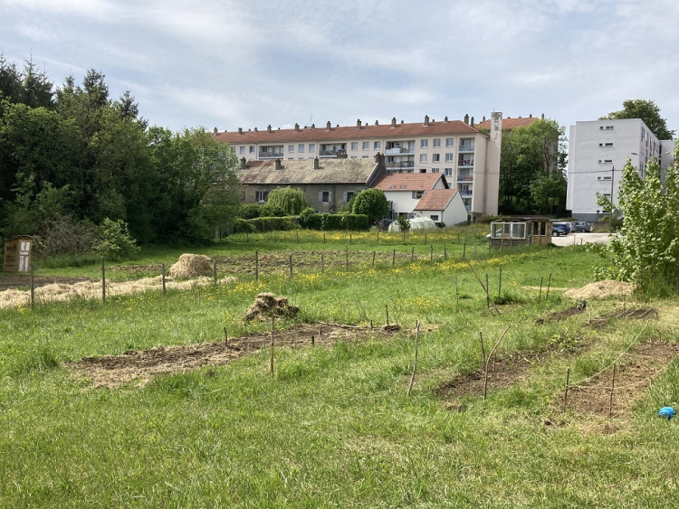 Besançon : les jardiniers des Vaîtes appelés à régulariser leur situation auprès de la mairie