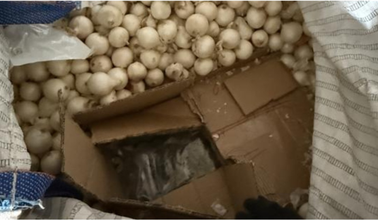 Doubs : plus de 420 kilos de cannabis dissimul&eacute;s dans un chargement d&rsquo;oignons sur l&rsquo;A36