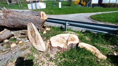 Salins les Bains / Abattage d'arbres : &laquo; Pays de Salins Environnement &raquo; demande des comptes