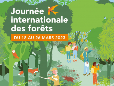 Des coll&eacute;giens en immersion dans le milieu forestier &agrave; l'occasion de la journ&eacute;e internationale des for&ecirc;ts