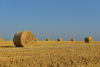 France : un projet de loi pour assurer la rel&egrave;ve des agriculteurs