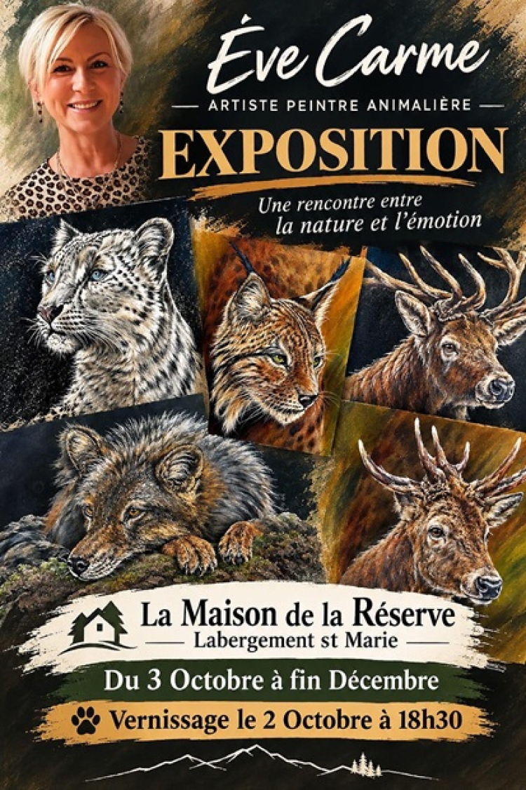 Exposition : le monde sauvage s&rsquo;invite &agrave; la Maison de la R&eacute;serve