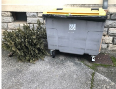 Grand Besan&ccedil;on : Que faire de son sapin de No&euml;l apr&egrave;s les f&ecirc;tes ?