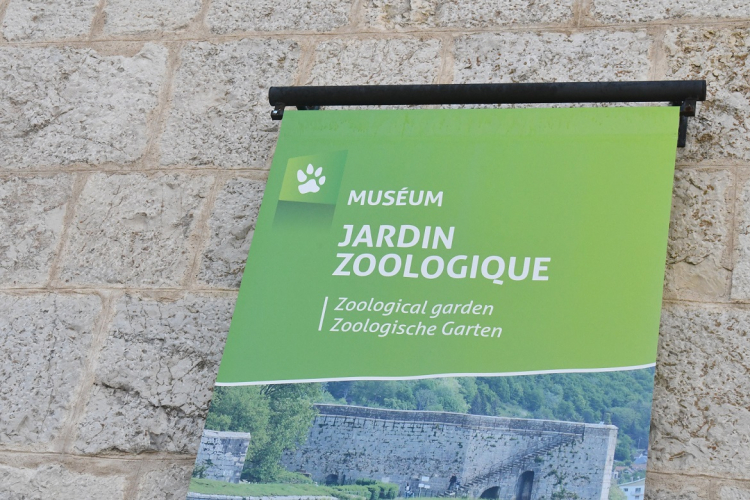 Biodiversit&eacute; : des naissances remarquables &agrave; la Citadelle de Besan&ccedil;on