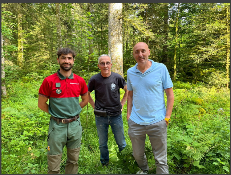 Touillon et Loutelet  érige son « sapin président » : tradition, forêt et symbole