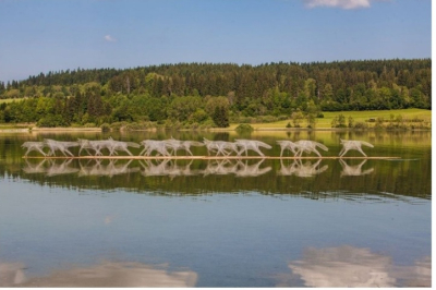 Olivier Estoppey, Des loups qui traversent la nuit, Pi&egrave;ces d&rsquo;&eacute;t&eacute; 2017