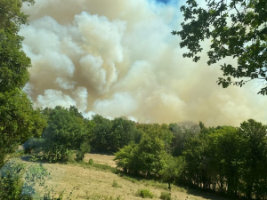 Jura : Le feu de forêt sur les communes de Vescles/Cernon/Rupt &quot;fixé&quot;